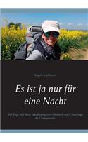Es ist ja nur für eine Nacht: 103 Tage auf dem Jakobsweg von Heideck nach Santiago de Compostela(German)