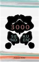 3000 Sekunden