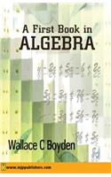 A First Book in Algebra