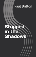 Stopped in the Shadows