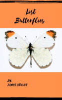 Lost Butterflies