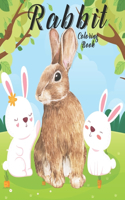 Rabbit Coloring Book