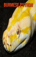 Burmese Python: Beautiful Pictures & Interesting Facts Children Book About Burmese Python
