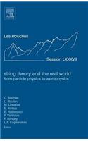 String Theory and the Real World