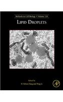 Lipid Droplets