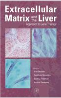 Extracellular Matrix and the Liver: Approach to Gene Therapy