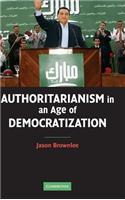 Authoritarianism in an Age of Democratization