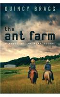 ant farm