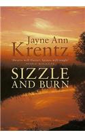 Sizzle And Burn: Number 3 in series