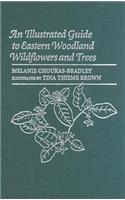 Illustrated Guide to Eastern Woodland Wildflowers and Trees