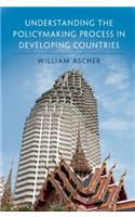 Understanding the Policymaking Process in Developing Countries