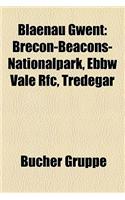 Blaenau Gwent: Brecon-Beacons-Nationalpark, Ebbw Vale RFC, Tredegar(German)