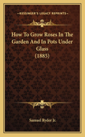 How To Grow Roses In The Garden And In Pots Under Glass (1885)