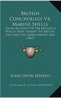 British Conchology V4, Marine Shells