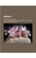 Brinka; An American Countess