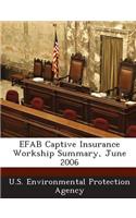 Efab Captive Insurance Workship Summary, June 2006