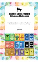 Irish Red Setter 20 Selfie Milestone Challenges Irish Red Setter Milestones for Memorable Moments, Socialization, Indoor & Outdoor Fun, Training Volume 3