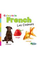 Colors in French