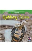Spitting Cobra: (Killer Snakes)
