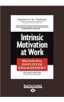 Intrinsic Motivation at Work