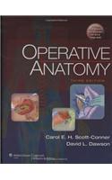 Operative Anatomy