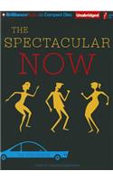 Spectacular Now