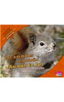 Los Animales En Otoño/Animals in Fall