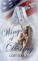 Wings of Destiny: Lost Souls