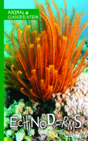 Echinoderms