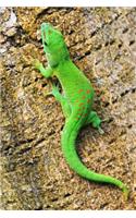 An Adorable Green Madagascar Gecko on a Palm Tree Journal: 150 Page Lined Notebook/Diary