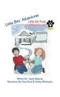 Little Bits' Adventures: Little Bit Finds a New Home