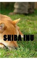 Shiba Inu: 150 Lined Pages