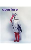 Aperture 201