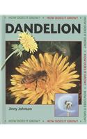 Dandelion