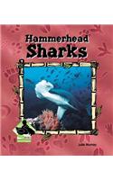 Hammerhead Sharks
