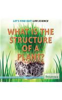 What Is the Structure of a Plant?: (1 Let's Find Out! Life Science)