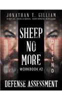 Sheep No More Workbook #2