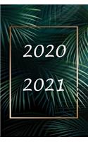 2020 / 2021