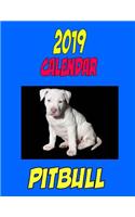2019 Calendar Pitbull