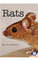 Rats