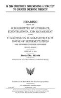Is DHS effectively implementing a strategy to counter emerging threats?