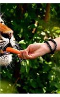 Vegie Tiger Notebook: 150 lined pages, softcover, 6 x 9