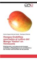 Hongos Endofitos Asociados Al Cultivo del Mango 'Haden' En Venezuela