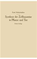 Synthese der Zellbausteine in Pflanze und Tier: ?ugleich ein Beitrag zur Kenntnis der Wechselbeziehungen der gesamten Organismenwelt(German)