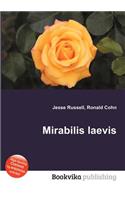 Mirabilis Laevis