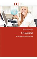 E-Tourisme: (Omn.Univ.Europ.)