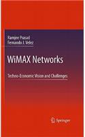 Wimax Networks