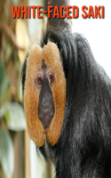 White-Faced Saki