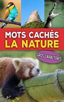 Mots Cachés La Nature