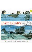 Two Bears and Joe: (Picture Puffin S.)